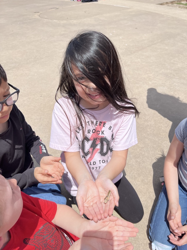 releasing butterflies