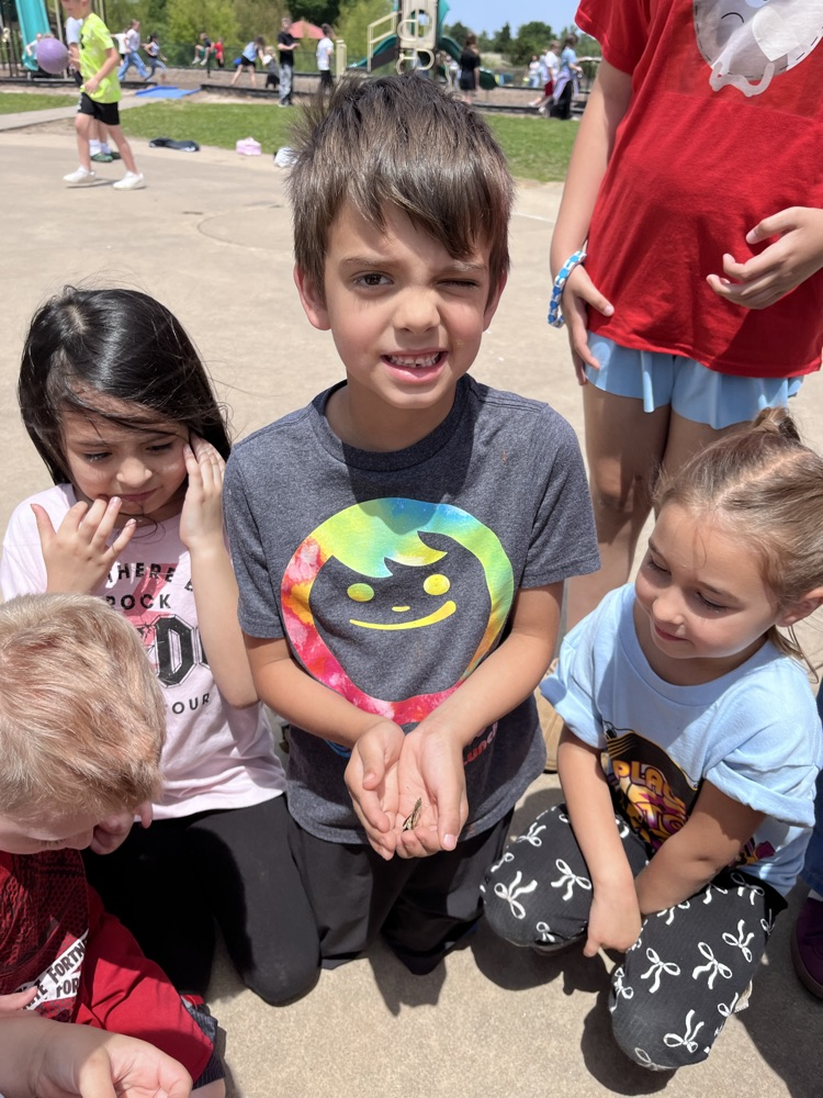 releasing butterflies