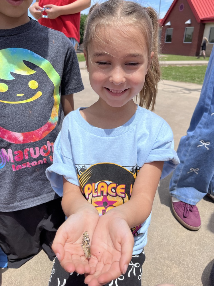 releasing butterflies