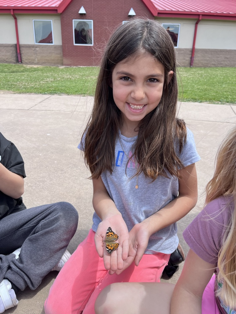 releasing butterflies