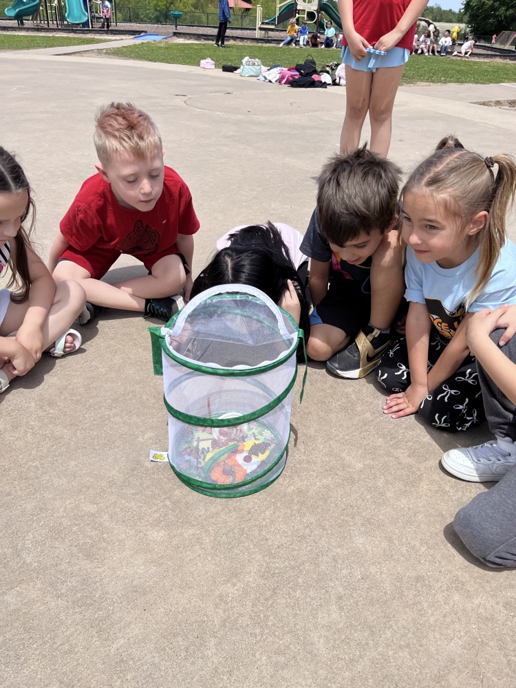 releasing butterflies