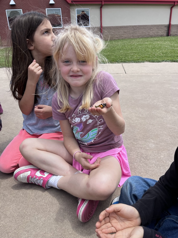 releasing butterflies