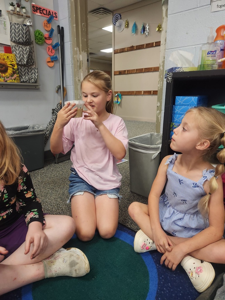 students holding catapillars and looking into cups