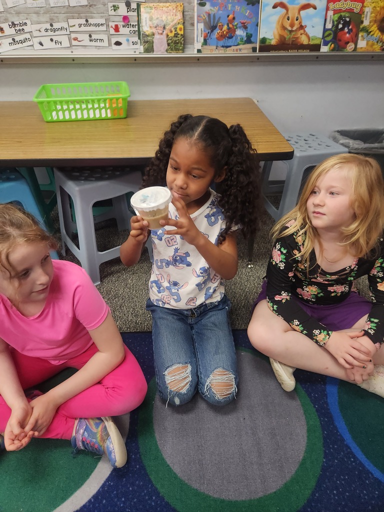 students holding catapillars and looking into cups