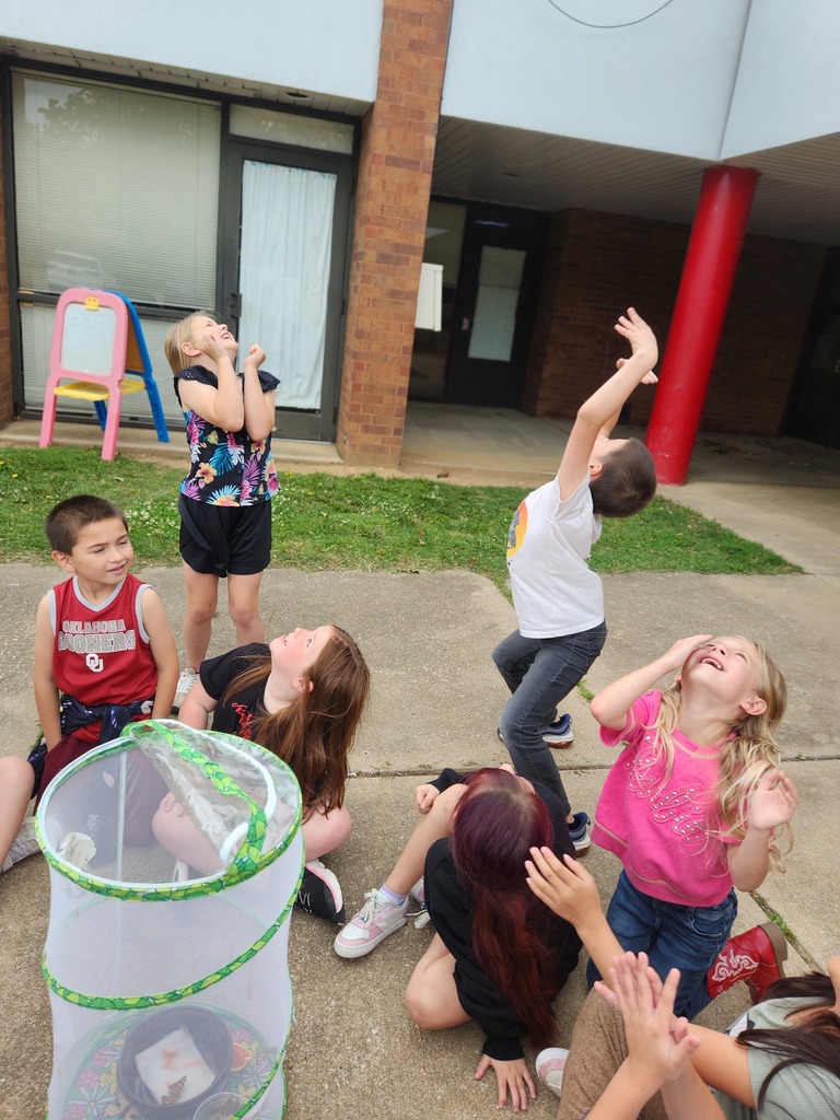 students looking at their butterfly emerge