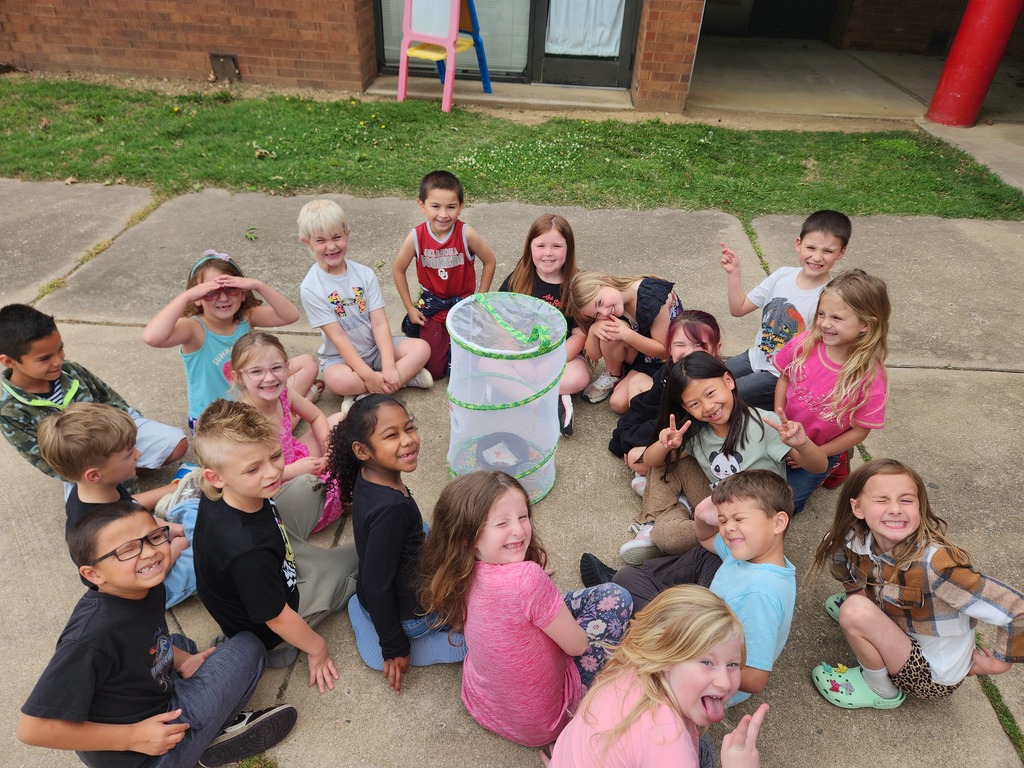 students looking at their butterfly emerge