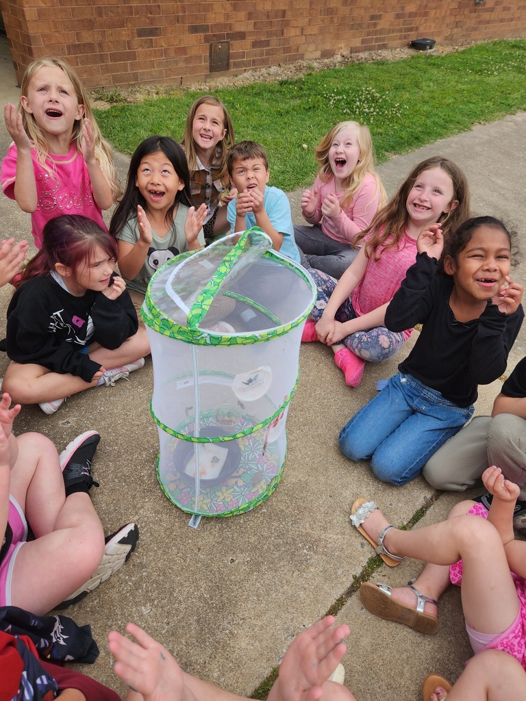 students looking at their butterfly emerge