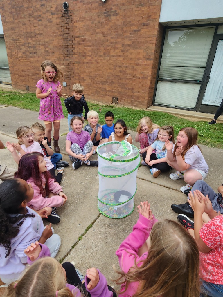 students looking at their butterfly emerge