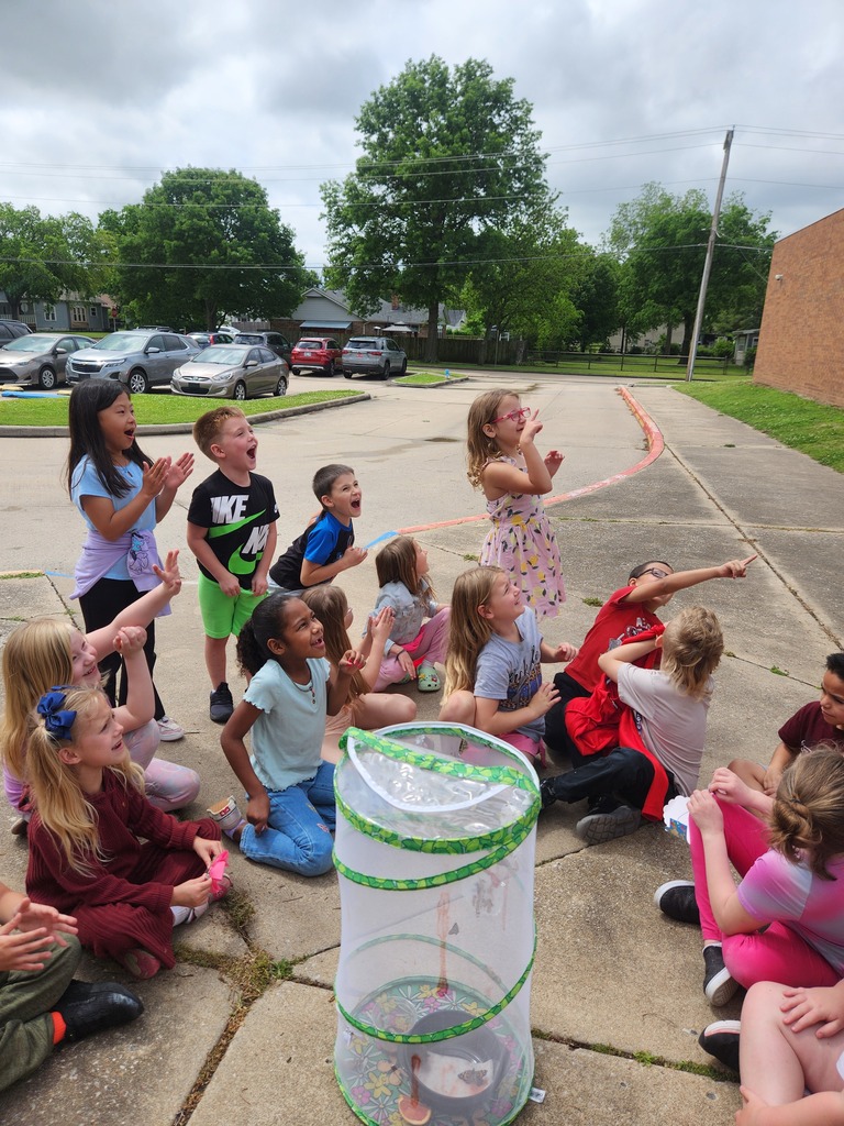 students looking at their butterfly emerge
