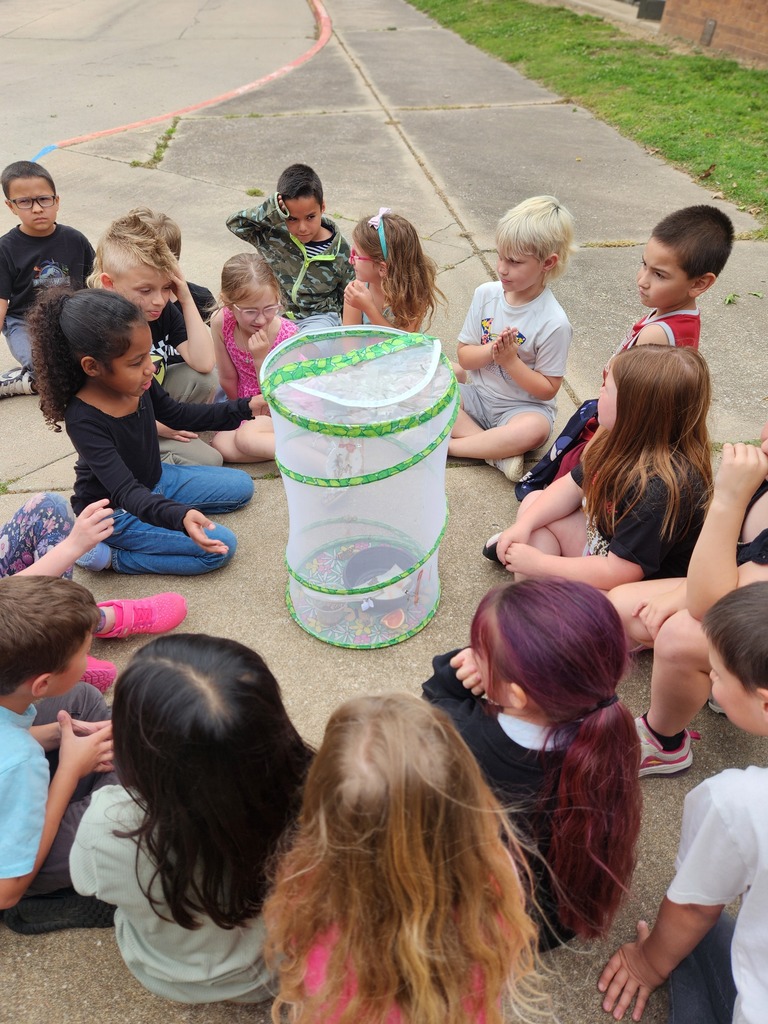 students looking at their butterfly emerge
