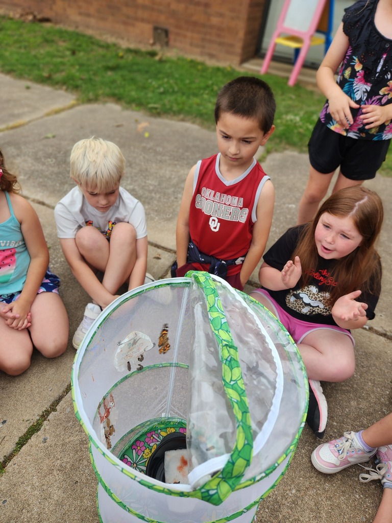 students looking at their butterfly emerge