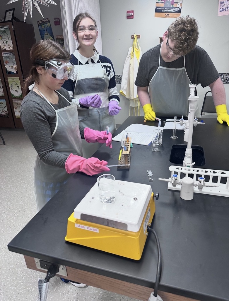 🧪🔬 Ms. Golbek’s Pre-AP Chemistry students spent three weeks building strong laboratory science skills through a qualitative analysis lab.  Students tested known cations, recorded detailed observations, and analyzed chemical reactions in solution. Using their data, they then identified four unknown cations present in an unknown sample.  This hands-on investigation provided real-world experience in collecting data, making evidence-based conclusions, and working through a college-style lab process.