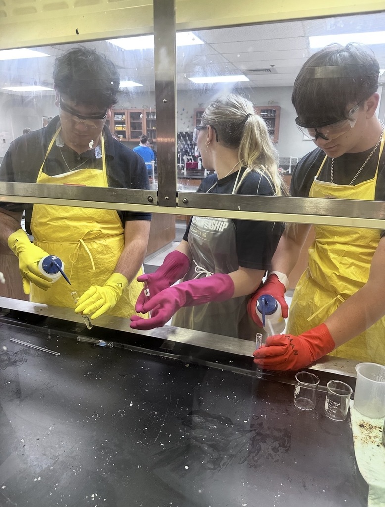 🧪🔬 Ms. Golbek’s Pre-AP Chemistry students spent three weeks building strong laboratory science skills through a qualitative analysis lab.  Students tested known cations, recorded detailed observations, and analyzed chemical reactions in solution. Using their data, they then identified four unknown cations present in an unknown sample.  This hands-on investigation provided real-world experience in collecting data, making evidence-based conclusions, and working through a college-style lab process.