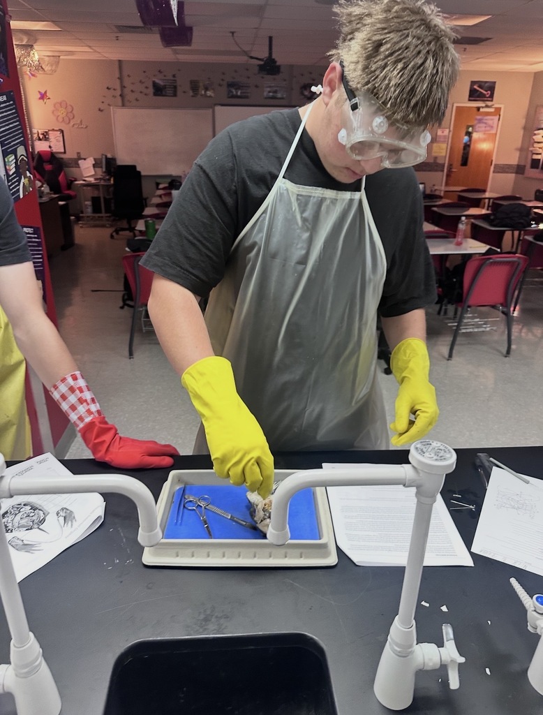 🐸 Zoology students recently completed a hands-on frog dissection lab as part of their study of vertebrate anatomy.  Through careful observation and guided exploration, students examined internal structures and deepened their understanding of how organ systems function together in living organisms.  This lab provided a valuable opportunity for real-world science learning and strengthened students’ lab skills and scientific thinking.