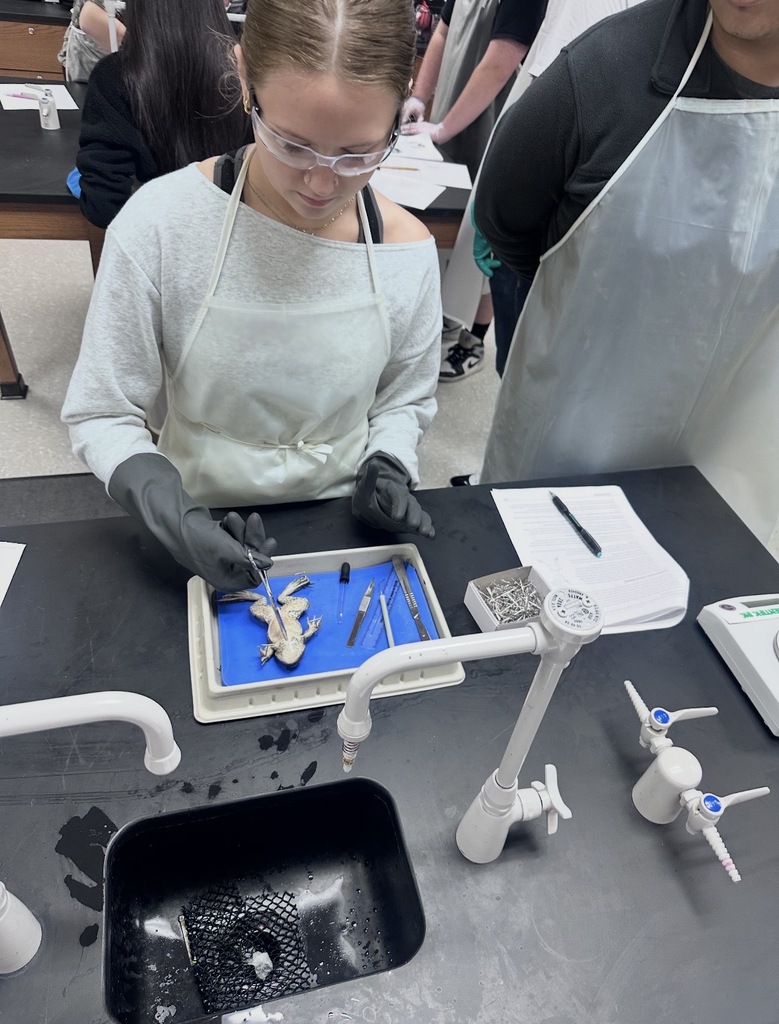 🐸 Zoology students recently completed a hands-on frog dissection lab as part of their study of vertebrate anatomy.  Through careful observation and guided exploration, students examined internal structures and deepened their understanding of how organ systems function together in living organisms.  This lab provided a valuable opportunity for real-world science learning and strengthened students’ lab skills and scientific thinking.