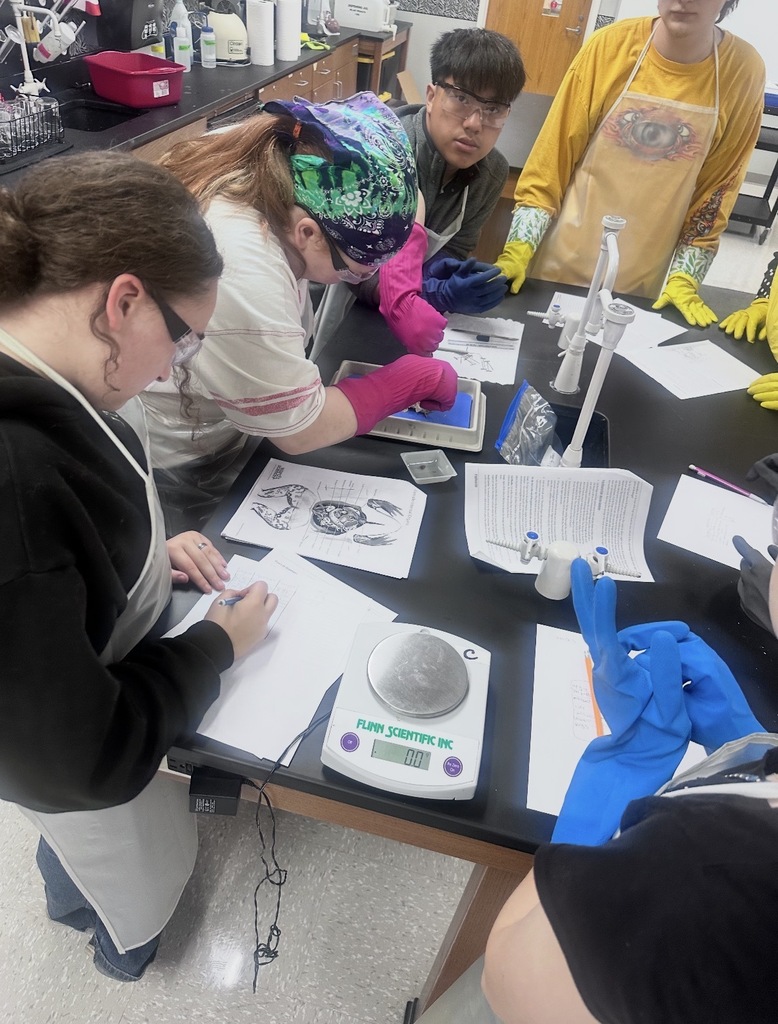 🐸 Zoology students recently completed a hands-on frog dissection lab as part of their study of vertebrate anatomy.  Through careful observation and guided exploration, students examined internal structures and deepened their understanding of how organ systems function together in living organisms.  This lab provided a valuable opportunity for real-world science learning and strengthened students’ lab skills and scientific thinking.