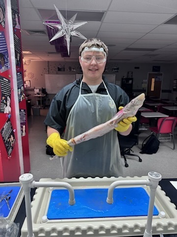 Our zoology students took learning to the next level this week with an exciting hands-on shark dissection experience! Working in lab teams, students carefully examined anatomical structures, identified key internal and external features, and gained a deeper understanding of vertebrate biology in a real-world setting. From observing adaptations to comparing systems, the lab brought classroom concepts to life in a meaningful and engaging way. This experience challenged students to think like scientists—asking questions, making observations, and connecting structure to function throughout the dissection process. Great work to our future scientists for their curiosity, professionalism, and willingness to dive into hands-on learning! 🦈