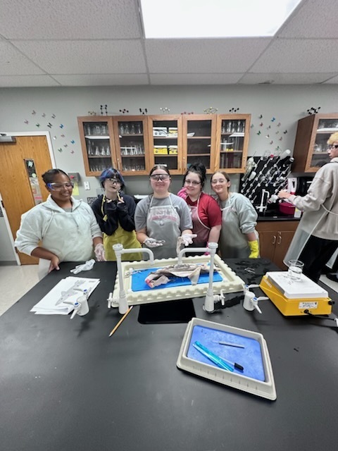 Our zoology students took learning to the next level this week with an exciting hands-on shark dissection experience! Working in lab teams, students carefully examined anatomical structures, identified key internal and external features, and gained a deeper understanding of vertebrate biology in a real-world setting. From observing adaptations to comparing systems, the lab brought classroom concepts to life in a meaningful and engaging way. This experience challenged students to think like scientists—asking questions, making observations, and connecting structure to function throughout the dissection process. Great work to our future scientists for their curiosity, professionalism, and willingness to dive into hands-on learning! 🦈