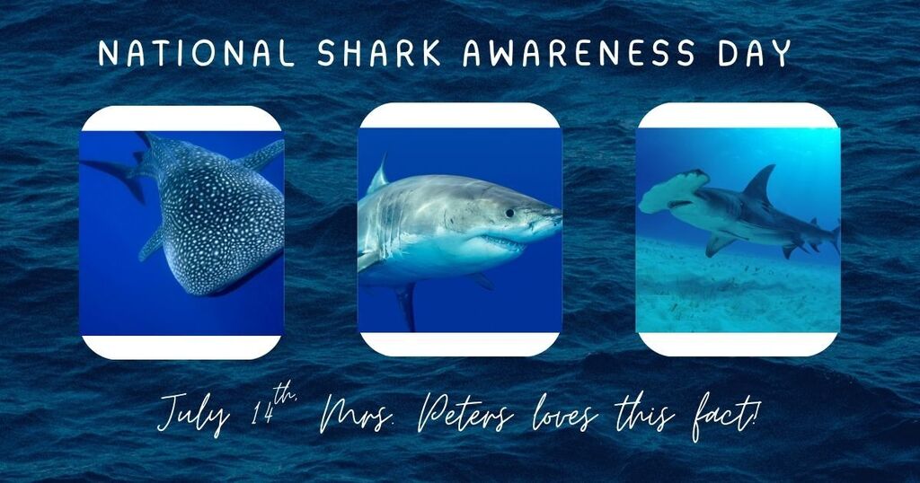 Shark Fact