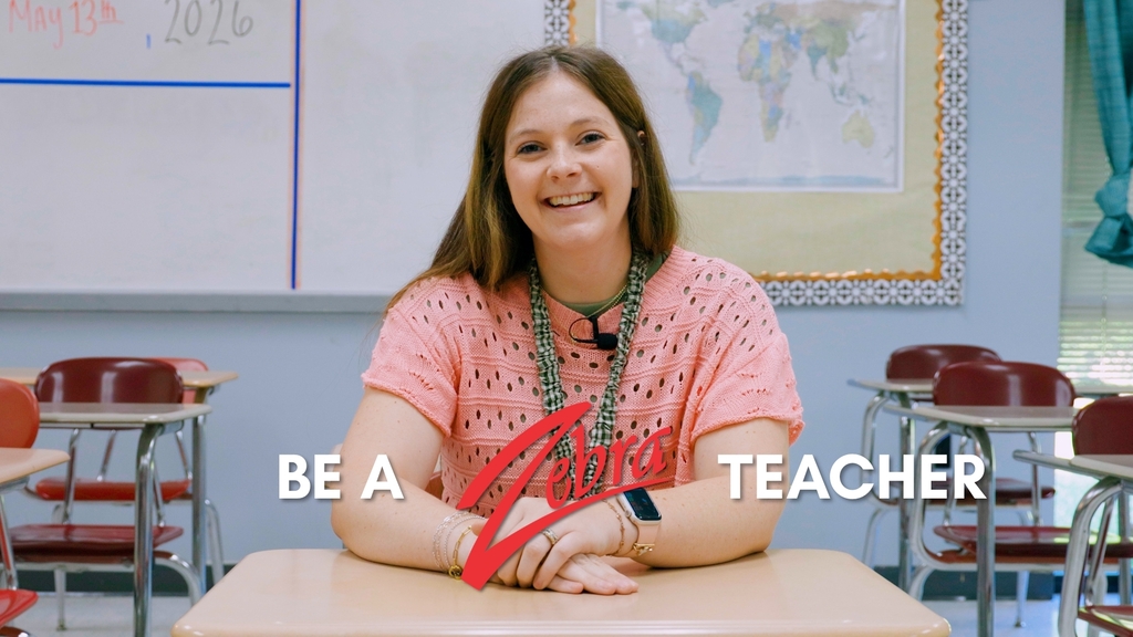 Emily McCollough's My Zebra Story graphic