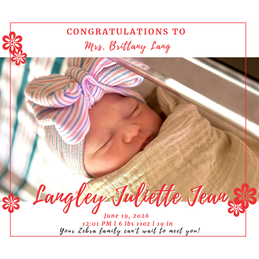 baby swaddled in bassinet 