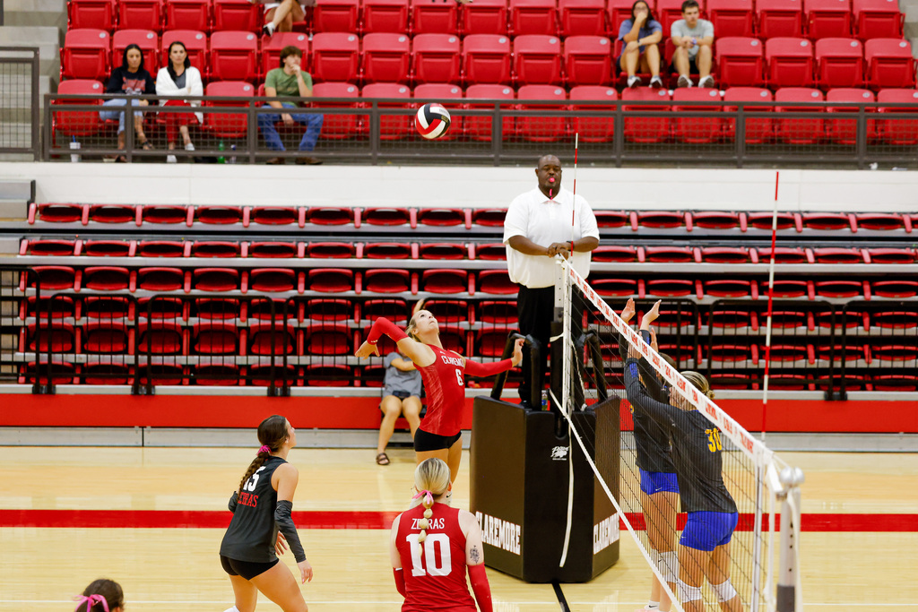 Zebra volleyball game.