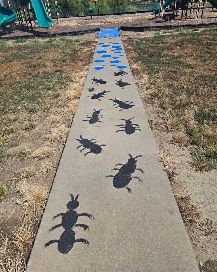 Catalayah parents and students repainting the sidewalks.