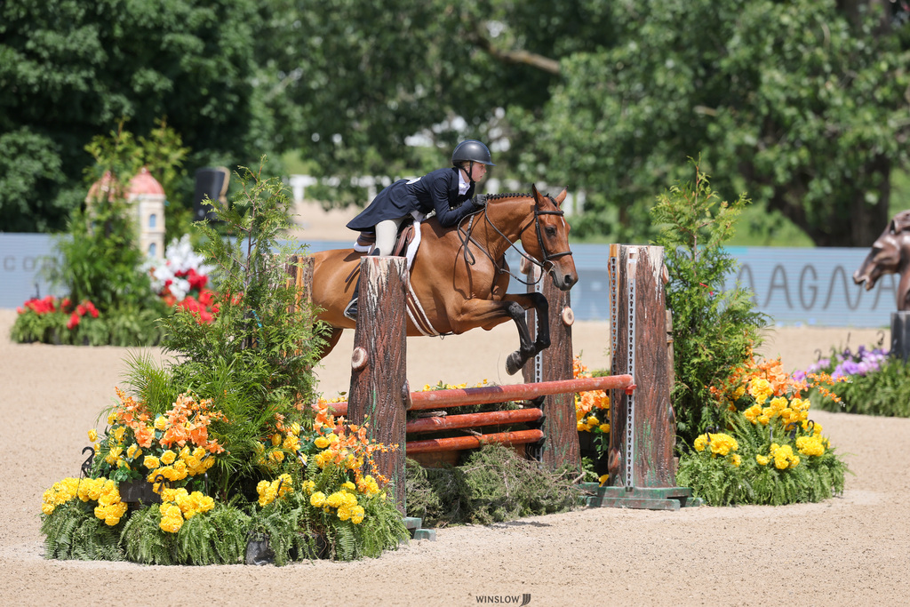 Back in June, sophomore Ellyanna had an incredible week in Kentucky competing at the Junior Hunter Finals with her horse, Pip! Competing against a highly competitive field of 67 riders, Ellyanna and Pip proved to be an incredible dynamic duo.  A few highlights from their week include:  ⭐️ 14th Place – Large Junior 3’3” 15 & Under Classic ⭐️ 17th Overall – Large Junior 3’3” 15 & Under  Competing at this level requires dedication, countless hours of practice, and a strong partnership between horse and rider. We are so proud of Ellyanna for representing Claremore High School and showing that our Zebras are making their mark both in and out of the classroom!