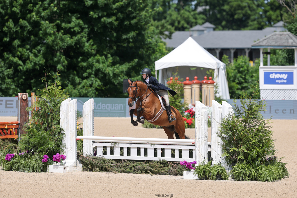 Back in June, sophomore Ellyanna had an incredible week in Kentucky competing at the Junior Hunter Finals with her horse, Pip! Competing against a highly competitive field of 67 riders, Ellyanna and Pip proved to be an incredible dynamic duo.  A few highlights from their week include:  ⭐️ 14th Place – Large Junior 3’3” 15 & Under Classic ⭐️ 17th Overall – Large Junior 3’3” 15 & Under  Competing at this level requires dedication, countless hours of practice, and a strong partnership between horse and rider. We are so proud of Ellyanna for representing Claremore High School and showing that our Zebras are making their mark both in and out of the classroom!