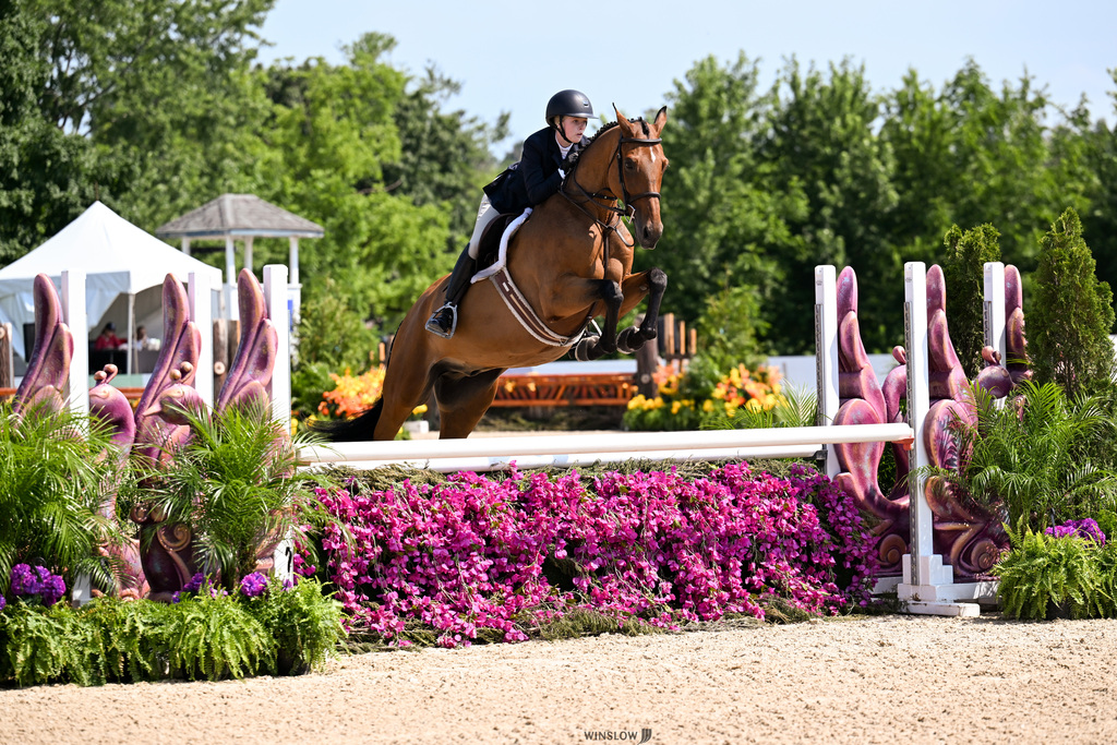 Back in June, sophomore Ellyanna had an incredible week in Kentucky competing at the Junior Hunter Finals with her horse, Pip! Competing against a highly competitive field of 67 riders, Ellyanna and Pip proved to be an incredible dynamic duo.  A few highlights from their week include:  ⭐️ 14th Place – Large Junior 3’3” 15 & Under Classic ⭐️ 17th Overall – Large Junior 3’3” 15 & Under  Competing at this level requires dedication, countless hours of practice, and a strong partnership between horse and rider. We are so proud of Ellyanna for representing Claremore High School and showing that our Zebras are making their mark both in and out of the classroom!