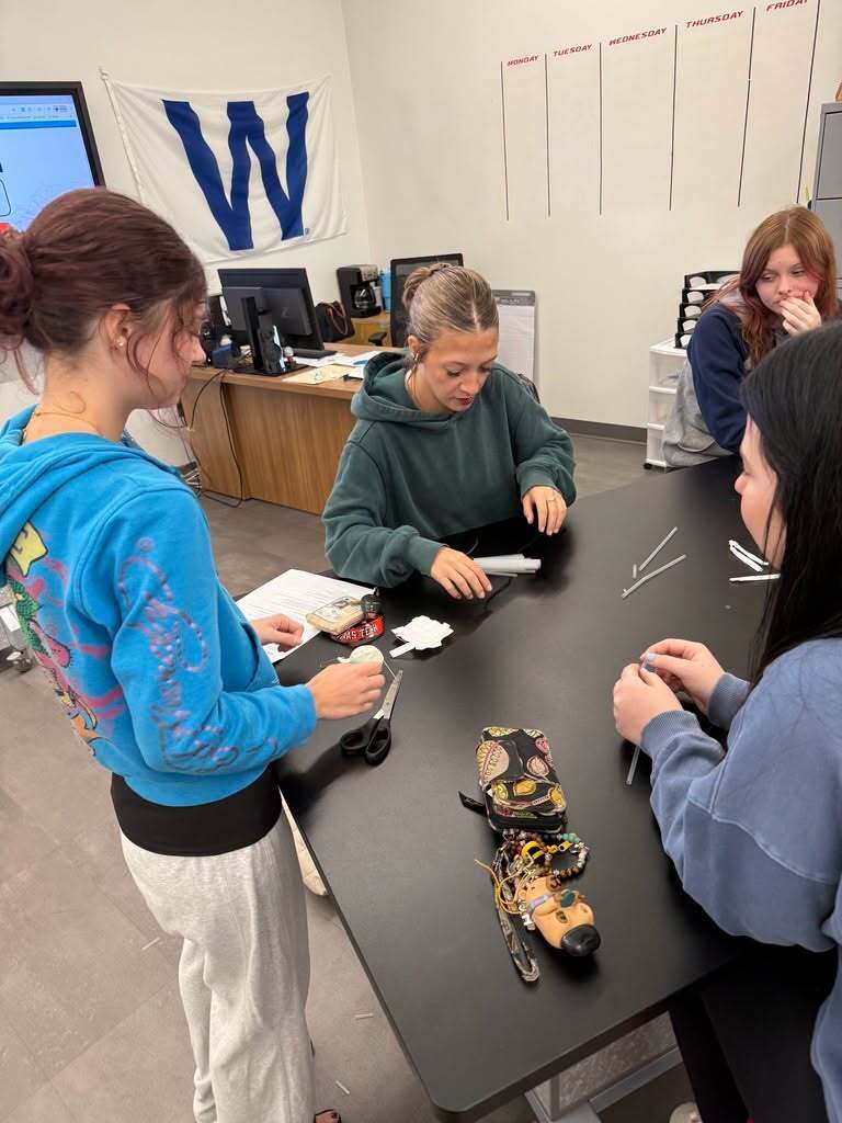 Students working on the project.