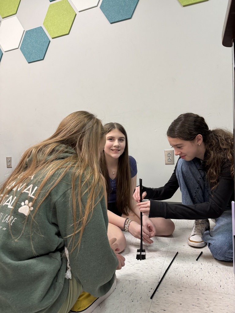 stem class challenge