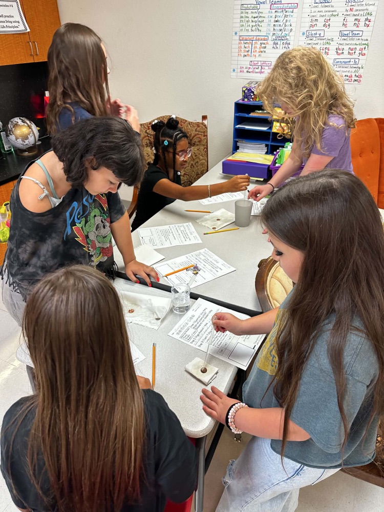 5th grade science 