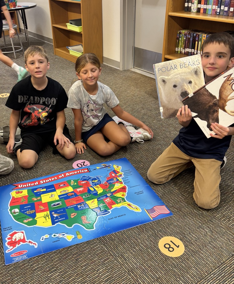 library streaming