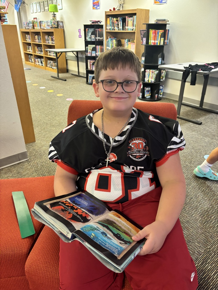 library streaming
