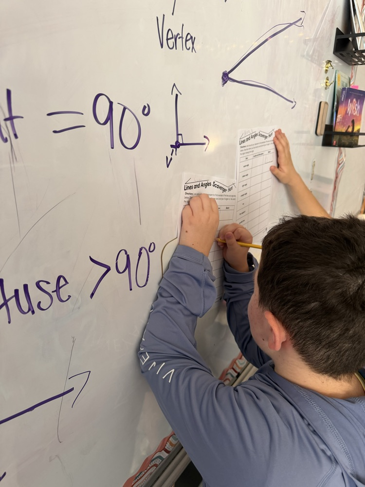 students working together 
