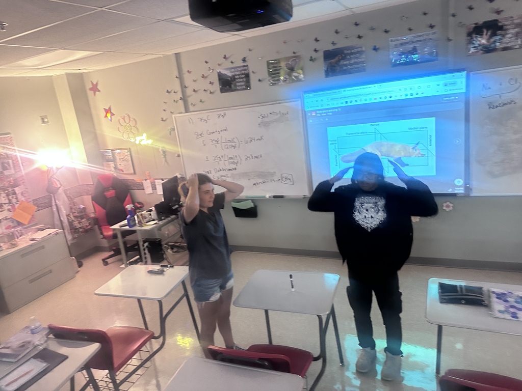🧠🦓 Who says studying has to be boring?  Zoology students put a new twist on Head, Shoulders, Knees, and Toes by turning their review into a Body Planes Challenge!  With terms like anterior, posterior, median, and lateral being called out, students raced to see who could identify each body plane the fastest. It became a battle to the finish—with only one winner!  And the best part? Every student passed their body planes test with flying colors! 🎉👏  Looks like the studying paid off!