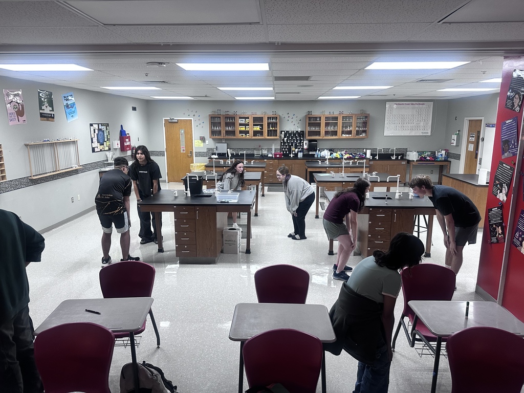 🧠🦓 Who says studying has to be boring?  Zoology students put a new twist on Head, Shoulders, Knees, and Toes by turning their review into a Body Planes Challenge!  With terms like anterior, posterior, median, and lateral being called out, students raced to see who could identify each body plane the fastest. It became a battle to the finish—with only one winner!  And the best part? Every student passed their body planes test with flying colors! 🎉👏  Looks like the studying paid off!