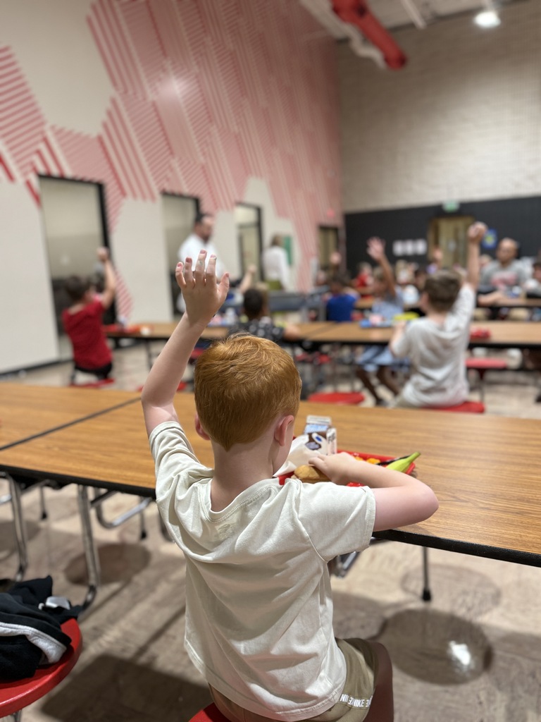 Students raising hands 