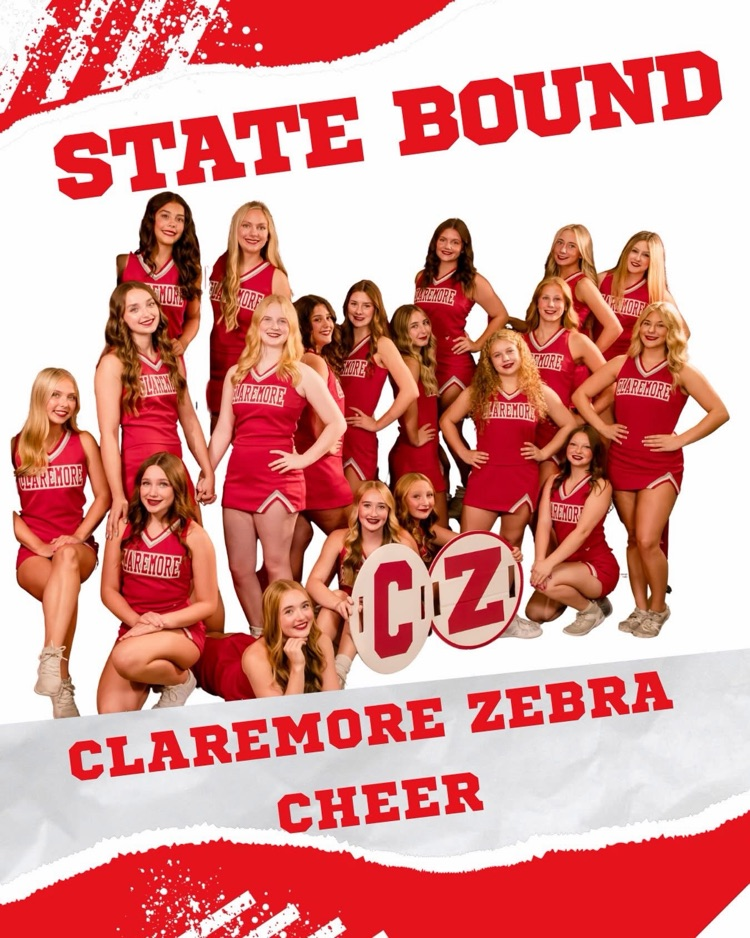 cheer pic regionals 