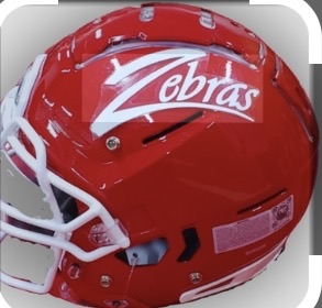 zebra helmet