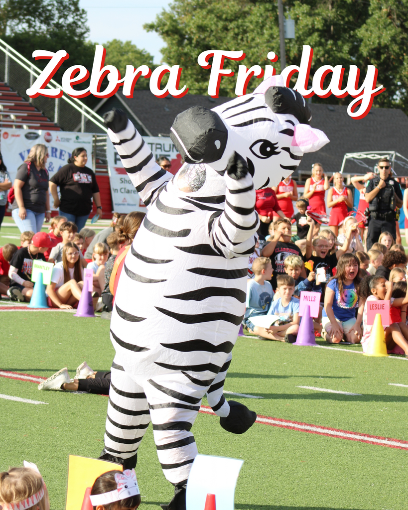 Inflatable Zebra dancing on Zebra Friday graphic