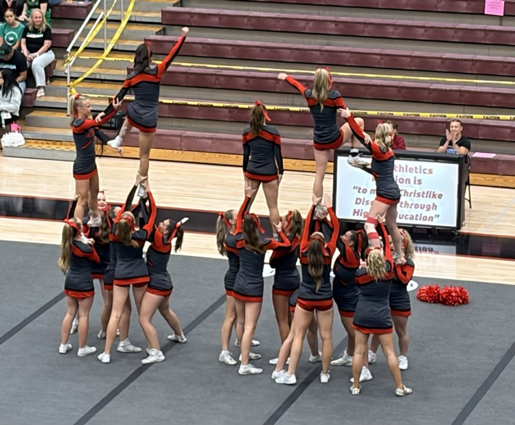 zebra cheer