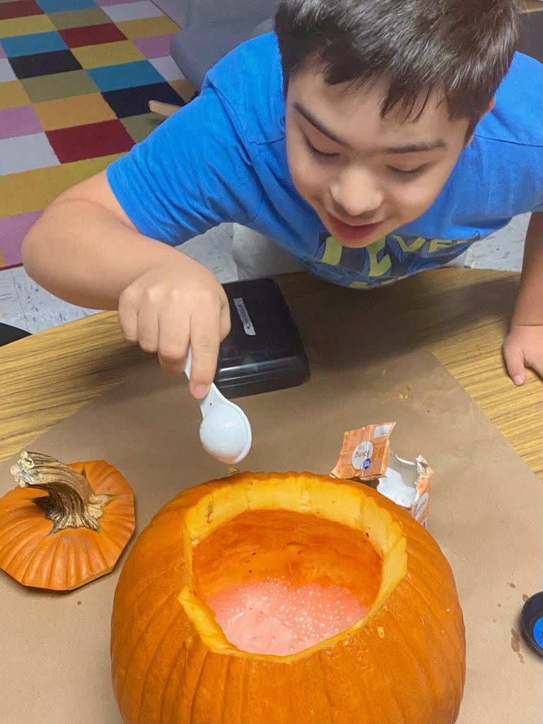 PUMPKIN EXPERIMENT