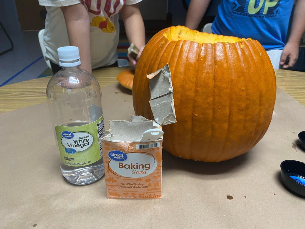 PUMPKIN EXPERIMENT