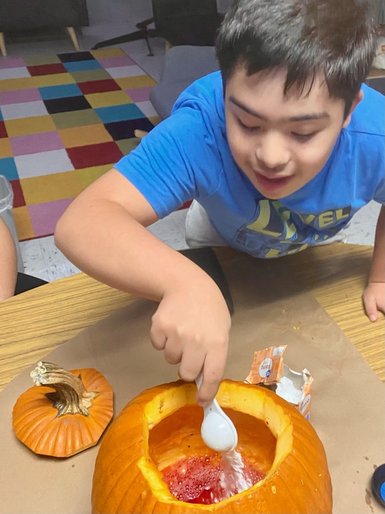 PUMPKIN EXPERIMENT