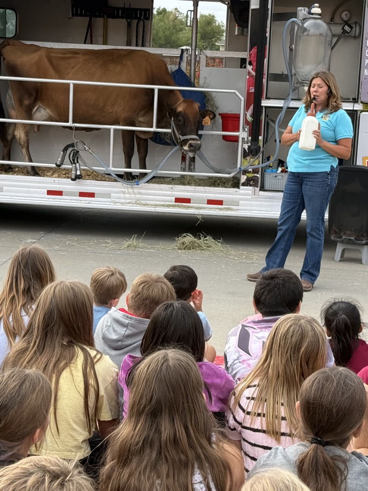 southwest dairy farm. 