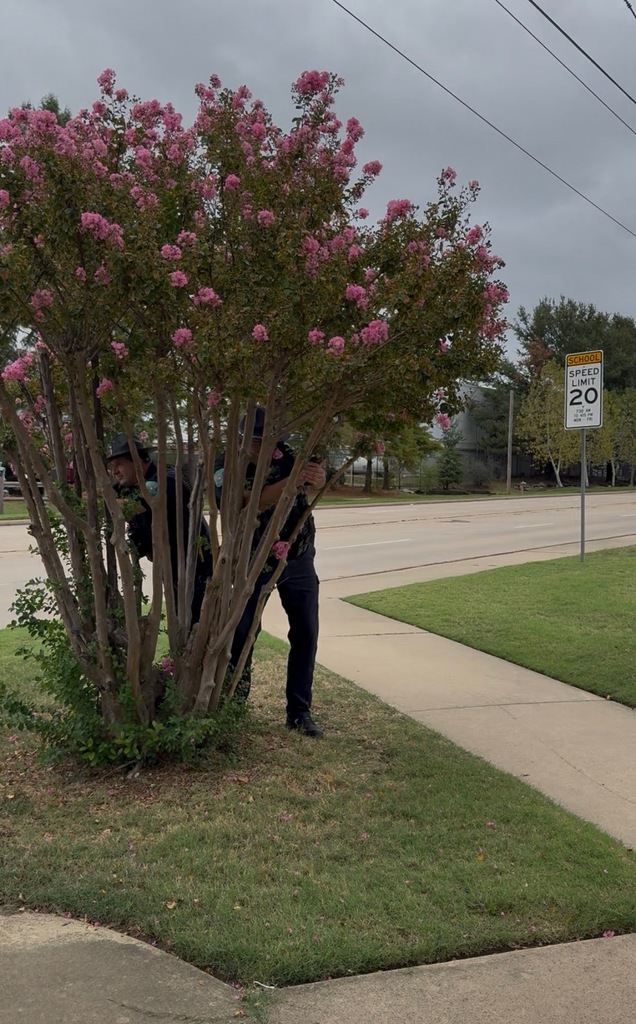 SROS LOOKING FOR SPEEDERS