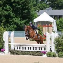 Student equestrian rider jumping her horse over an obstacle.