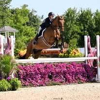 Student equestrian rider jumping her horse over an obstacle.